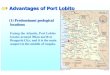 Advantages of Port Lobito