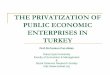 The Privatization Of Public Economic Enterprises In Turkey