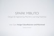 Image Classification and Retrieval on Spark