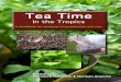 Tea Time in the Tropics