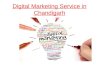 Digital marketing service in chandigarh