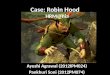 Robin Hood case analysis