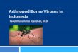 Arboviruses in indonesia