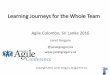 Agile Testing: Learning Journeys for the Whole Team - Janet G @ CMBAgileConf 2016