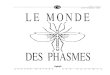 Le Monde des Phasmes 31 (Septembre 1995)
