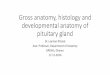 Pituitary gland- Anatomy, histology and embryology