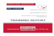 MASS_TRAINING REPORT_2
