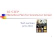 10 step by step marketing plan selecta ice cream