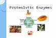 Protease enzymes