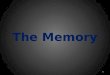 The memory(Computer Organization) by JL