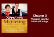 Services Marketing Chapter 3 Plugging Into the Information Age