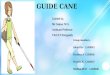 Guide cane