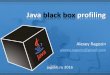 Java black box profiling JUG.EKB 2016