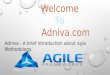 Adniva-A Brief Introduction About Agile Methodology