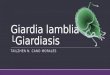 Giardia lamblia └giardiasis