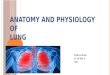 Anatomy and physiology of lung