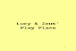 Lucy & Zeus' Play Place Business Prospectous