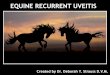 Deborah Y. Strauss, D.V.M: Equine Recurrent Uveitis