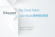 Big Cloud Fabric ＋ Openstack インテグレーション