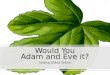 Would You Adam and Eve It?