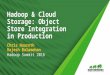 Hadoop & cloud storage  object store integration in production (final)