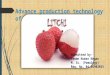 Advanced  production technology of litchi