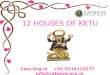12 Houses of Ketu