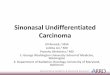 Sinonasal Undifferentiated Carcinoma