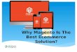 Why Magento Is The Best Ecommerce Platform?