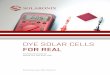 Dye Solar Cells for Real