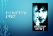 The butterfly effect analysis
