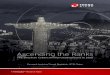 Ascending the Ranks: The Brazilian Cybercriminal Underground in 