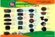 Industrial Hot Plates - Standard models or custom made ASAKA HOTPLATE STEAK