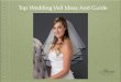 Top Wedding Veils Idea And Guide