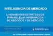 Inteligencia de mercado  lic. nancy perez   argentina 2016