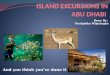 Island Excursions in Abu Dhabi