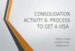 Consolidation activity 6 process to get a visa chinese