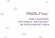 MOL Pay presentation 2016