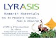 LYRASIS Mammoth materials unit1