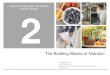 NFMNT Chapter 2 The Building Blocks of Nutrition