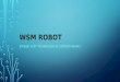WSM robot - automatické obchodní systémy