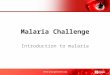 Malaria challenge presentation(.ppt, 7.9 MB)