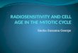 Radiosensitivity and cell age in the mitotic cycle