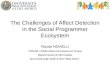 The Challenges of Affect Detection in the Social Programmer Ecosystem