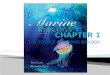 Chapter 1 - The Science of Marine Biology