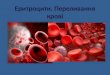 еритроцити. переливання крові