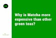 Why is Matcha Tea More Expensive Than Green Tea?