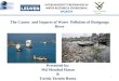 The Causes  and Impacts of Water  Pollution of Buriganga River