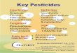 Key Pesticide list of Profirst Lily2015