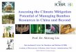 Assessing the Climate Mitigation Potential of managing Bamboo Resources in China and Beyond